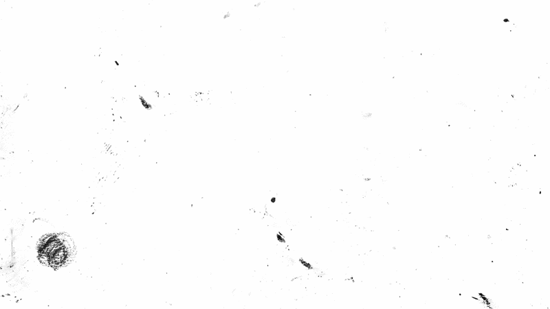 Preview of My Old House (Official Video).